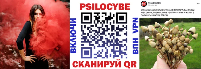 Псилоцибиновые грибы GOLDEN TEACHER  Ивантеевка 