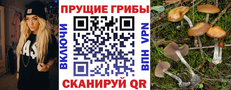 Псилоцибиновые грибы GOLDEN TEACHER Ивантеевка