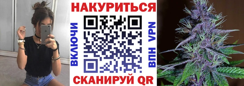 купить  цена  Ивантеевка  Конопля план 
